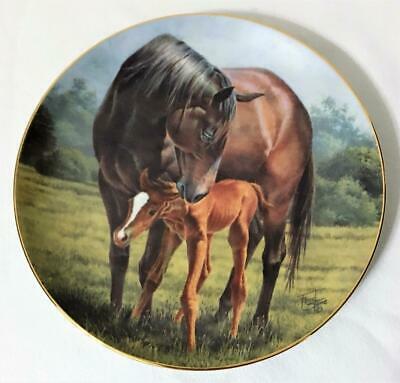 Lt Ed Plate The 1st Day Horse W/newborn Foal 1989 American Artists Fred Stone